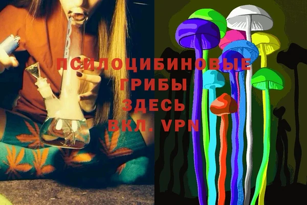 твердый Кулебаки