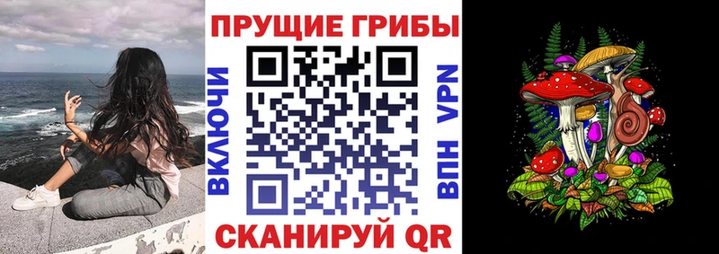 Галлюциногенные грибы прущие грибы  Купить где  Котельнич 